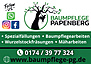 Baumpflege Papenberg